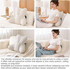 Ailuteie Lumbar Support Pillow – Multi-Functional Ergonomic Back Cushion - Image 5