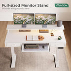 AODK Electric Standing Desk - Image 5