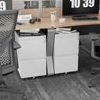 METAN 2 Drawer Vertical File Cabinet - Image 2