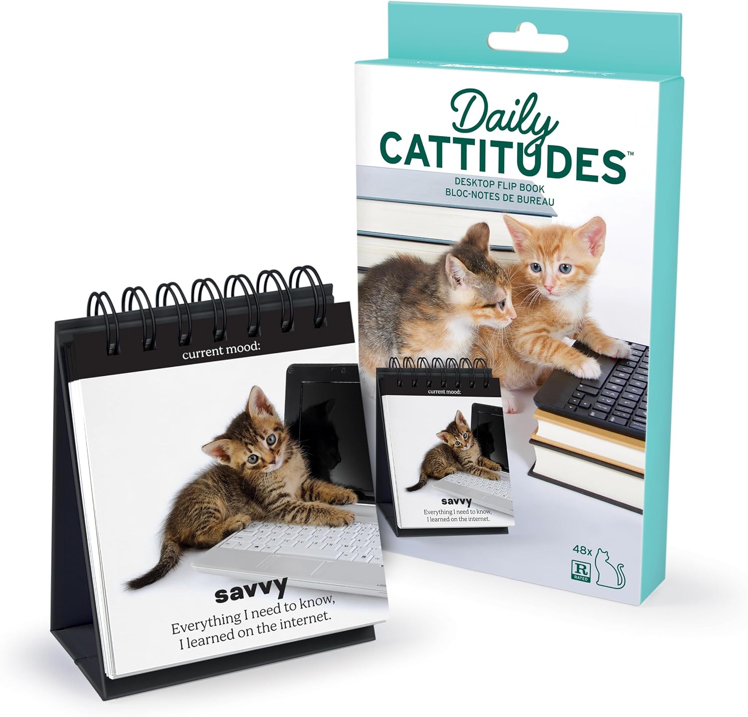 Genuine Fred Daily Cattitude Desktop Flipchart