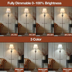 Traditional LED Floor Lamp - Image 5