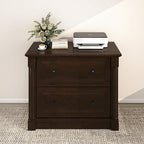 blini 2 Drawer File Cabinet Farmhouse Lateral File Cabinet - Image 7