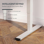 FLEXISPOT E6 3-Stage Dual Motor Electric Standing Desk 48 x 24 Sit Stand Up Desk - Image 3