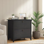 Bush Home Salinas 2 Drawer Lateral File Cabinet in Vintage Black, Home Office Storage Solution, Organizer with Drawers for Workspace, Filing Unit