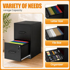 2 Drawer File Cabinet with Lock, Metal Vertical File Cabinets for Home Office, Office Furniture for Organization Hanging Legal/Letter/A4, Office File Cabinet Storage Cabinet, Require Assembly, Black | Black Steel Locking Vertical File Cabinet, Hanging
