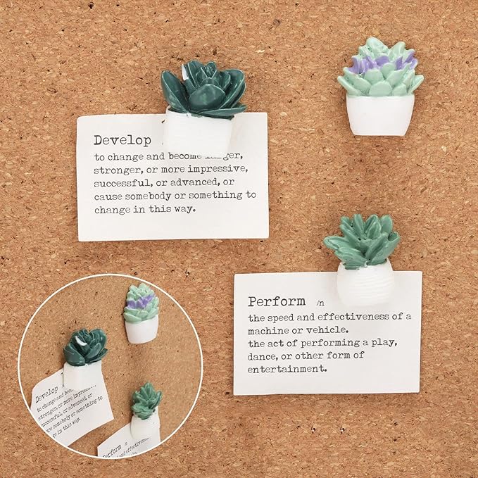30Pcs Decorative Pushpins Succulent Plants Thumb Tacks - Image 3