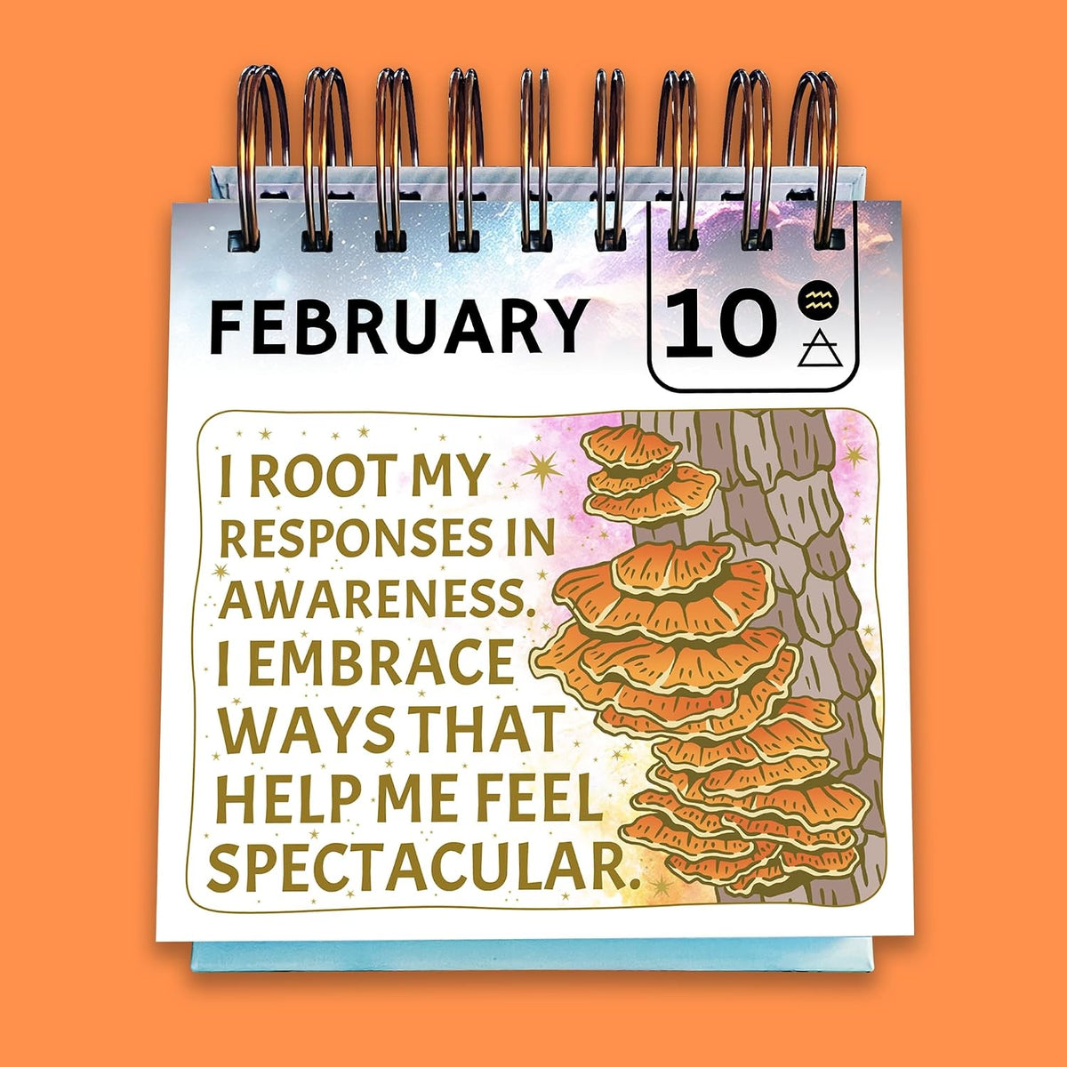 Sweet-A** Affirmations® Perpetual Desk Flip Calendar for 2025 and Beyond, 365...