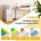 Reegangfa 2 Drawer File Cabinet - Image 5