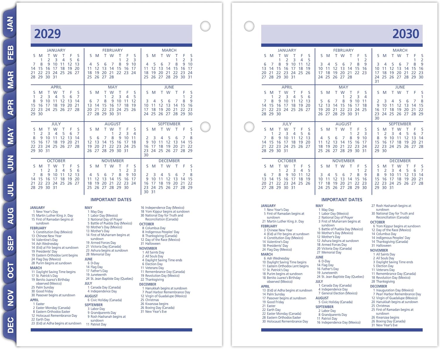 AT-A-GLANCE 2027 Desk Calendar Refill, Daily, 3.5" x 6", Standard, Loose-Leaf, QuickNotes (E5175027)