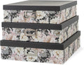 Soul & Lane Decorative Storage Boxes by SoulLane