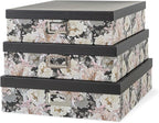 Soul & Lane Decorative Storage Boxes by SoulLane
