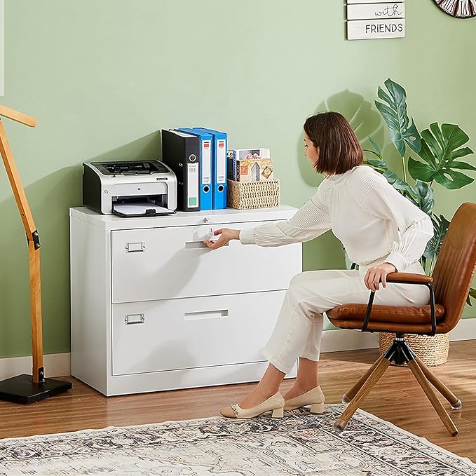 Letaya 2 Drawer Metal Filing Organization Office Cabinets - Image 2