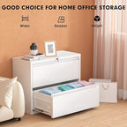 Pataku Lateral File Cabinet, 2 Drawer File Cabinet - Image 8