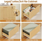 SEDETA 2 Drawer File Cabinet - Image 4