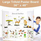 HAUTOCO 36'' x 48'' Trifold Poster Board 4 Pack Large Tri Fold Project Boards - Image 2