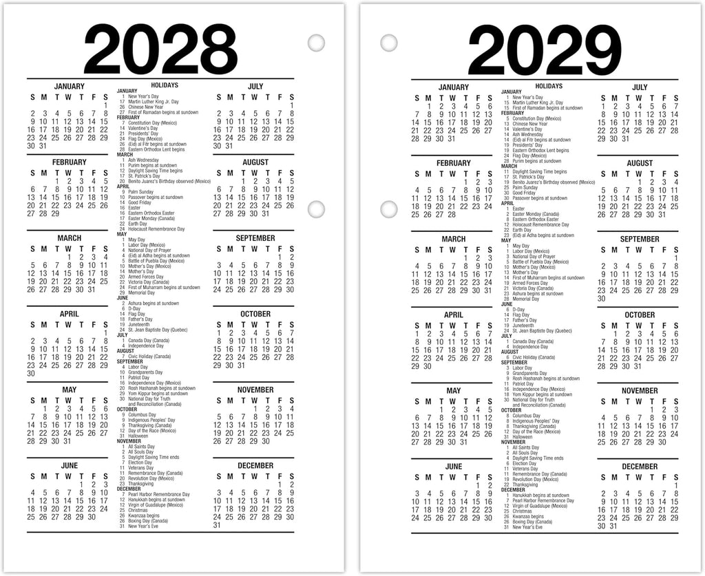 AT-A-GLANCE 2027 Desk Calendar Refill for E1700 Base, Daily Desk Pad Refill, 3.5" x 6", Standard, Loose-Leaf (E7175027)