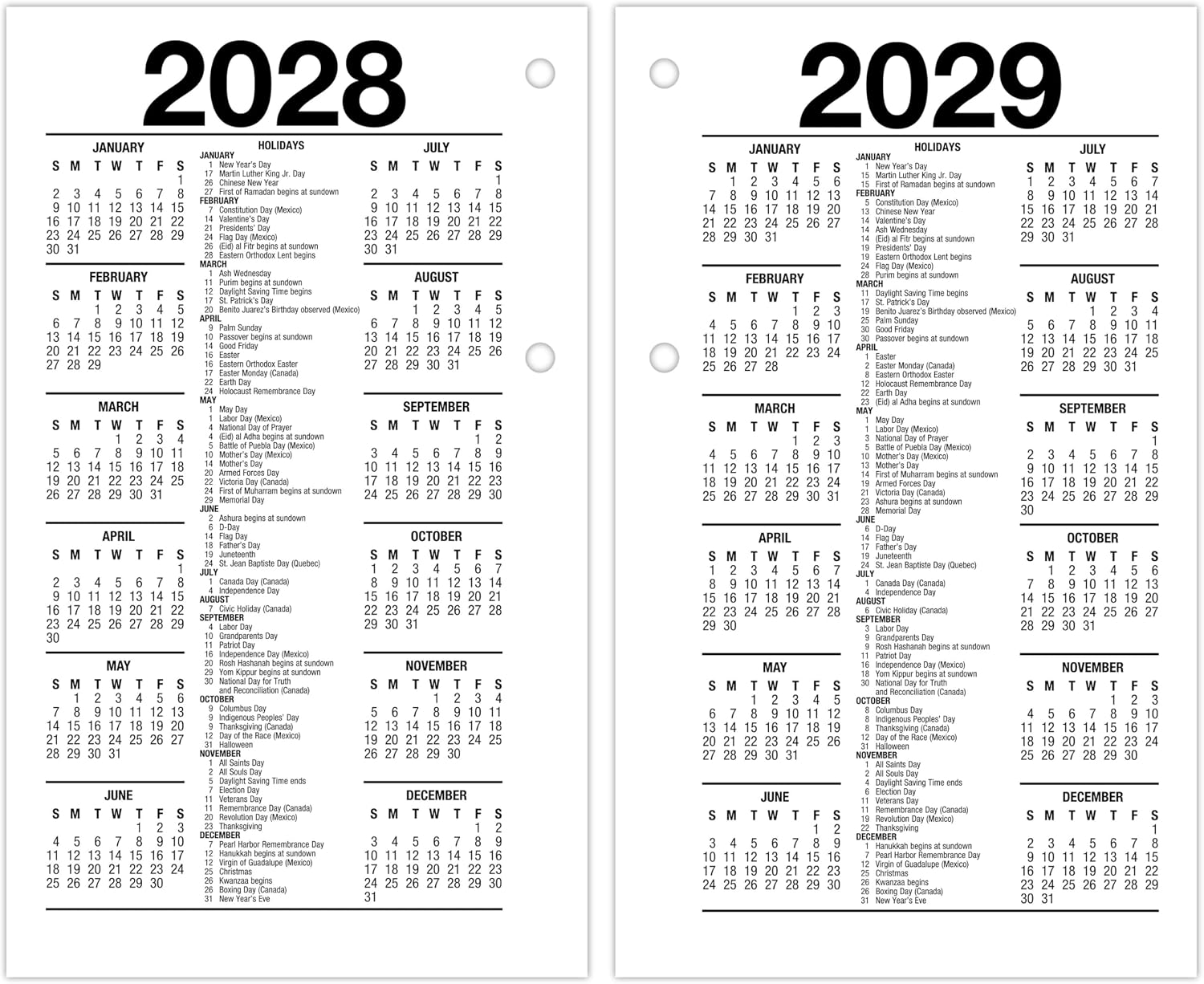 AT-A-GLANCE 2027 Desk Calendar Refill for E1700 Base, Daily Desk Pad Refill, 3.5" x 6", Standard, Loose-Leaf (E7175027)