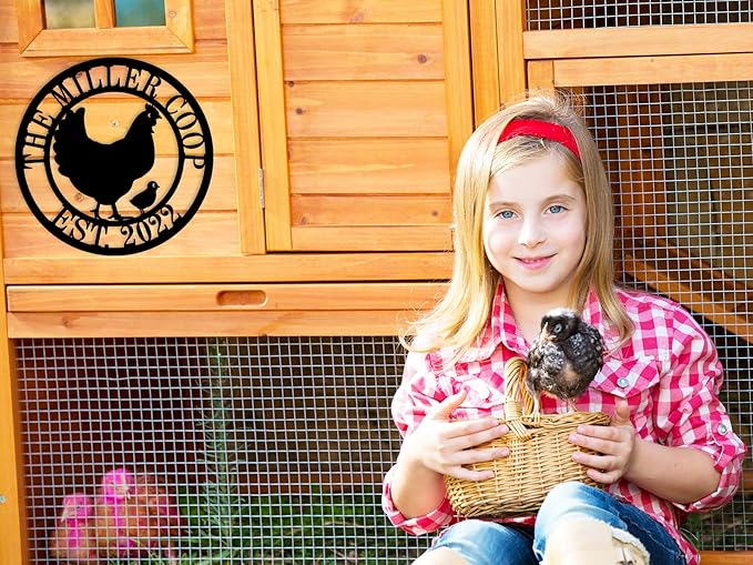 Chicken Coop Signs, Chicken Coop Decor, Chicken Coop Accessories, Custom Farm - Image 2