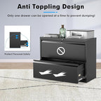 Pataku Lateral File Cabinet, 2 Drawer File Cabinet - Image 6