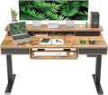 FEZIBO 55'' x 24" Height Adjustable Electric Standing Desk by FEZIBO