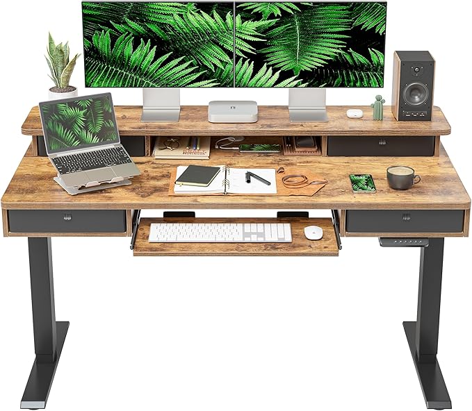 FEZIBO 55'' x 24" Height Adjustable Electric Standing Desk by FEZIBO