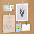50 PCS Wooden Clips Colorful Push Pins Tacks - Image 7