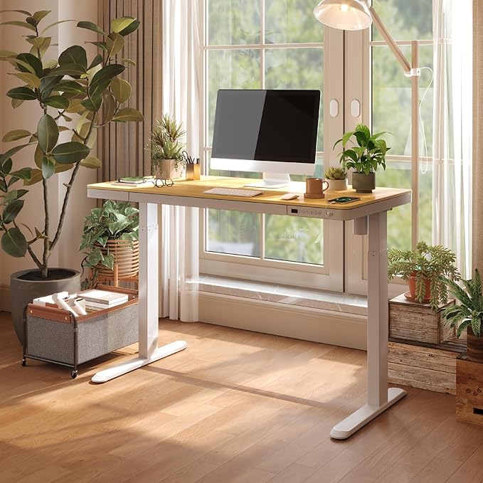 FLEXISPOT Electric Standing Desk - Image 4