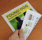 PPD Double Sided Photo Paper, Matte Brochure Paper 11 x 14 - Image 3