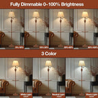 Traditional LED Floor Lamp - Image 5