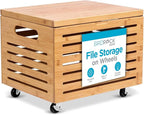 BIRDROCK HOME Rolling File Storage Organizer Box by BIRDROCKHOME