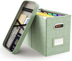 Oterri File Organizer Box with Lid, Hanging Filing File Box with Mesh Pocket by Oterri