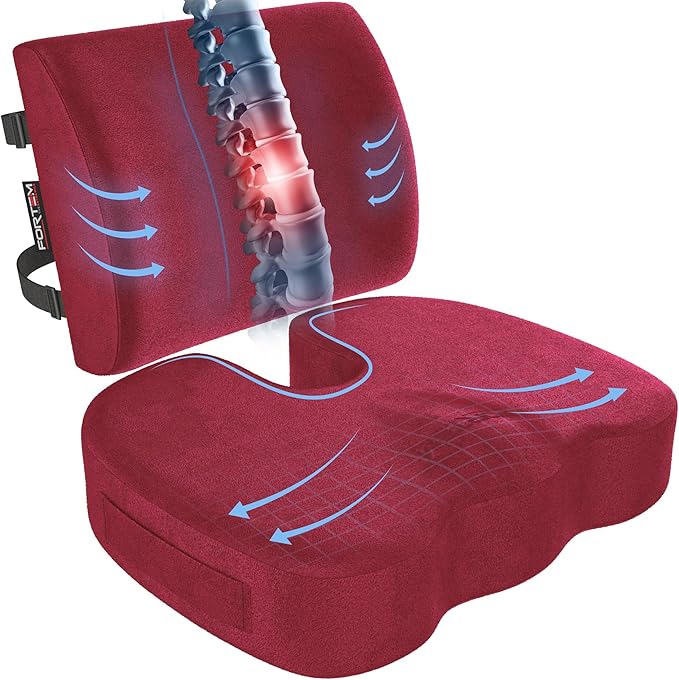 FORTEM Seat Cushion, Office Chair Cushion, Lumbar Support Pillow by FORTEM