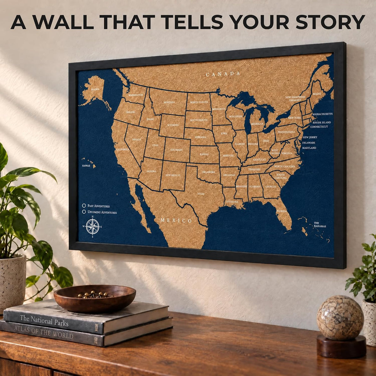 AdventureScape Push Pin USA Travel Map, Cork US Map Pin Board