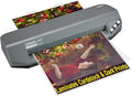 SINCHI 13" Commercial Laminator | 3–10 Mil, 48s Warm-Up, Heavy Duty No-Jam by SINCHI