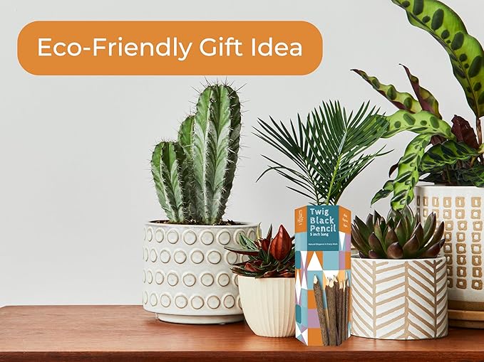 BSIRI Natural Twigs Wooden Pencils Handcrafted Suitable - Image 7