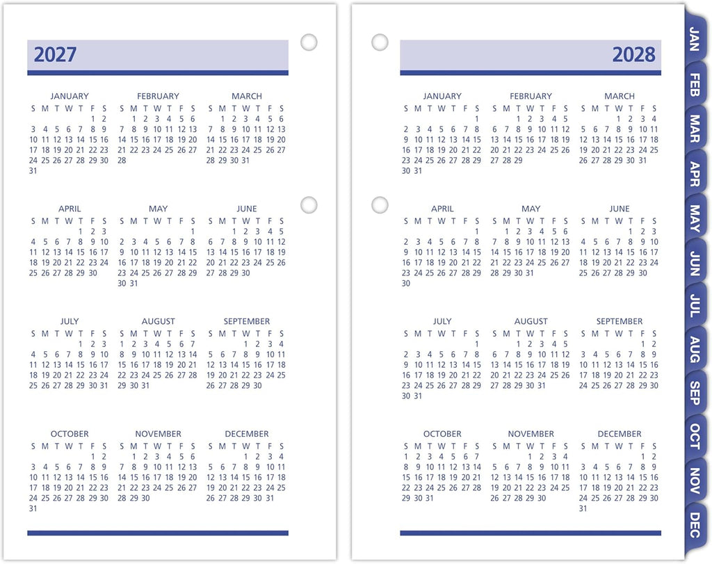 AT-A-GLANCE 2027 Desk Calendar Refill, Daily, 3.5" x 6", Standard, Loose-Leaf, QuickNotes (E5175027)