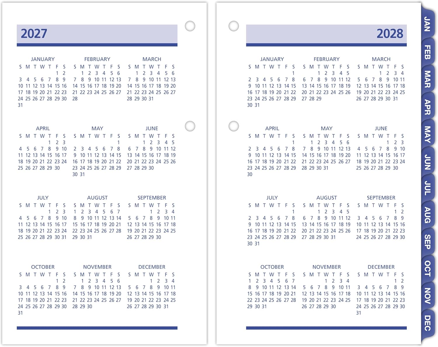 AT-A-GLANCE 2027 Desk Calendar Refill, Daily, 3.5" x 6", Standard, Loose-Leaf, QuickNotes (E5175027)
