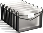 ABC life 6 Pack Plastic Expanding File Folder, Folders by ABClife