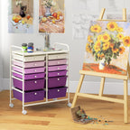 Happygrill 12-Drawer Rolling Storage Cart, 2 Sizes Plastic Drawers & Metal Shelf