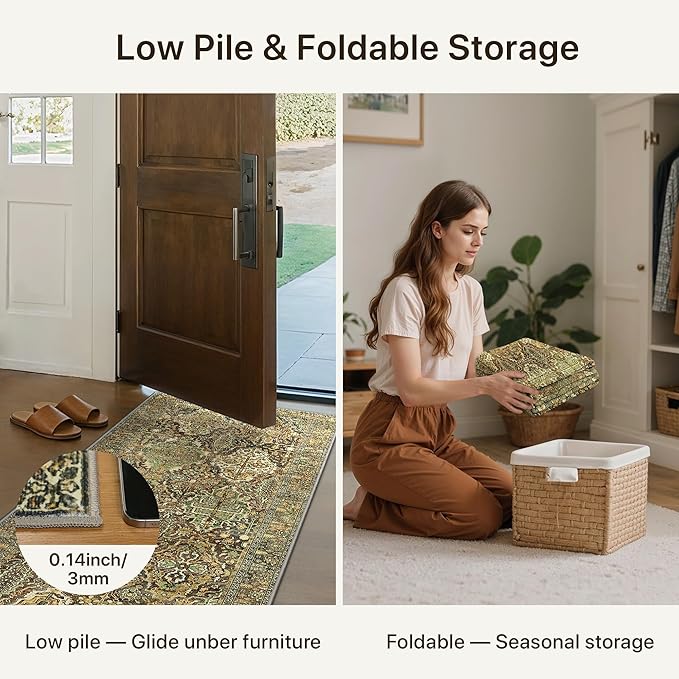 GENIMO Area Rug 2x3 Doormat, Machine Washable Low Pile Rugs, Small Retro - Image 7