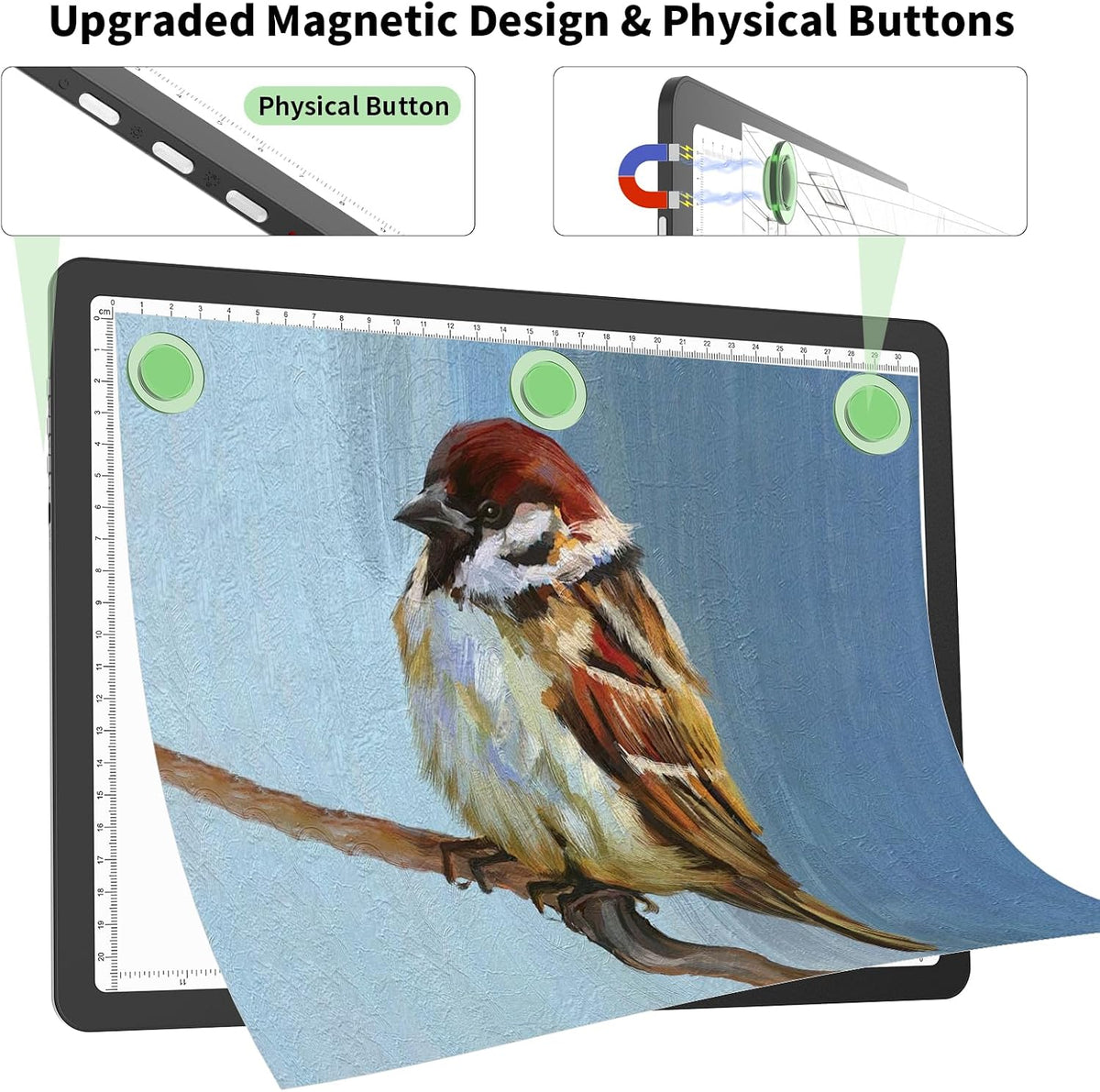 phylosal rechargeable a4 light pad with carry bag showing dimensions