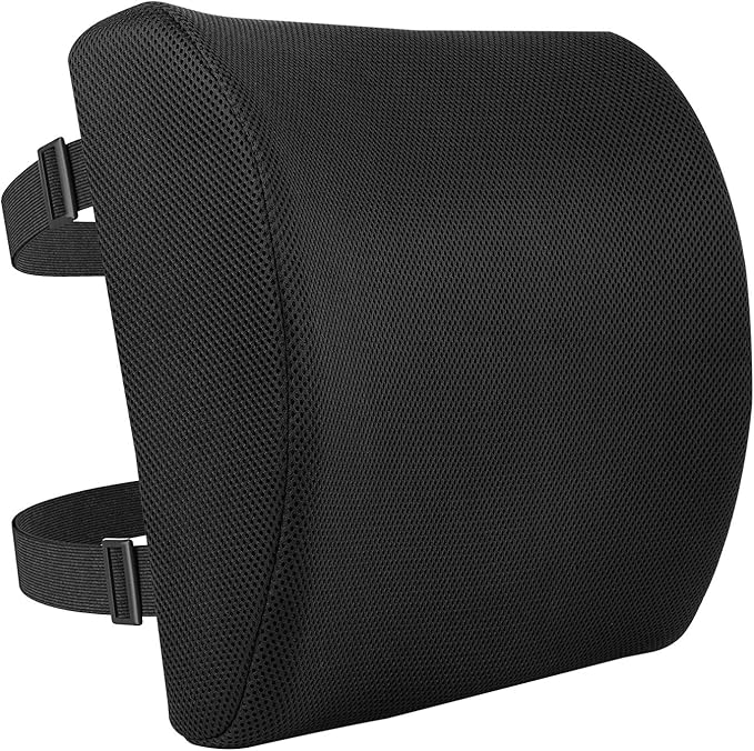 Amazon Basics Rectangular Comfortable Back Support Cushion by AmazonBasics