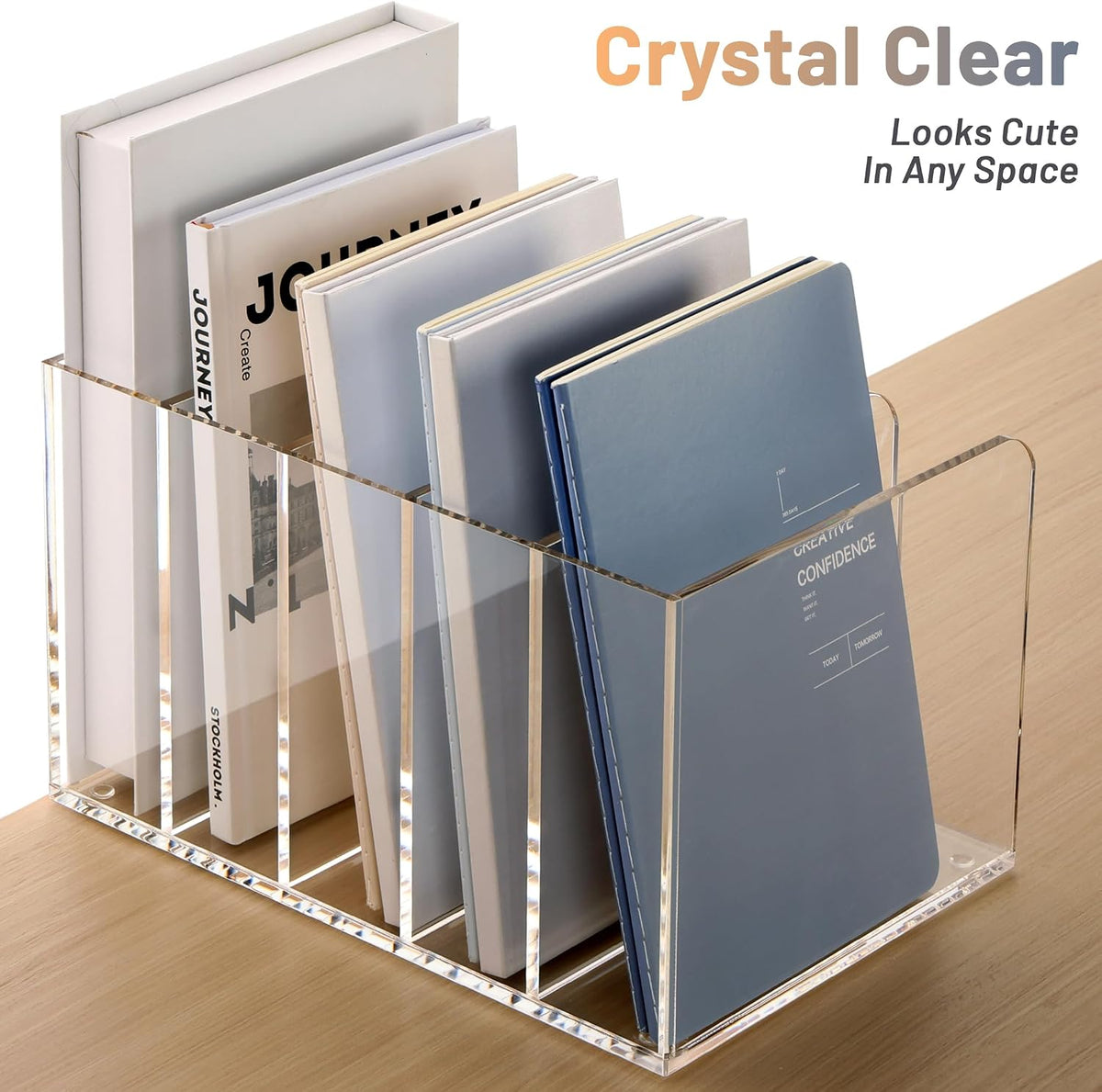SANRUI Clear Acrylic File Organizer for Desk 5-Section Upright File Sorter