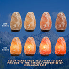 7 inch himalayan salt lamp with dimmer cord, close-up detail