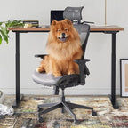 Anidaroel Office Chair Mat for Hardwood Floor, Anti-Slip Computer Chair Mat - Image 7