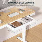 FLEXISPOT Comhar Electric Standing Desk - Image 3
