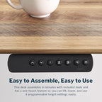 Vari Classic Electric Standing Desk - Image 6