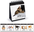 Genuine Fred Daily Cattitude Desktop Flipchart