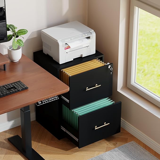 GFGWXW 2 Drawer Vertical File Cabinet - Image 4