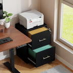 GFGWXW 2 Drawer Vertical File Cabinet - Image 4